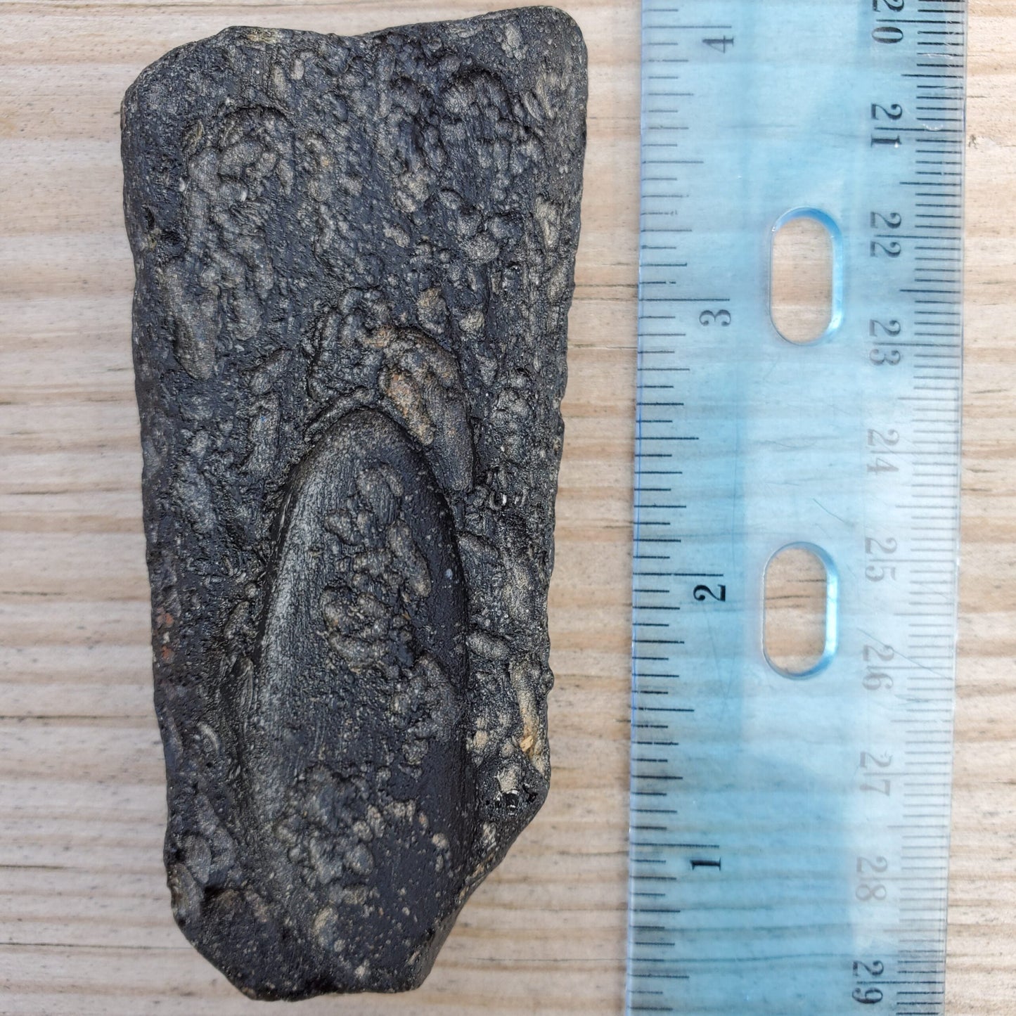 Large Black Thailand Tektite Specimen – Wstek6