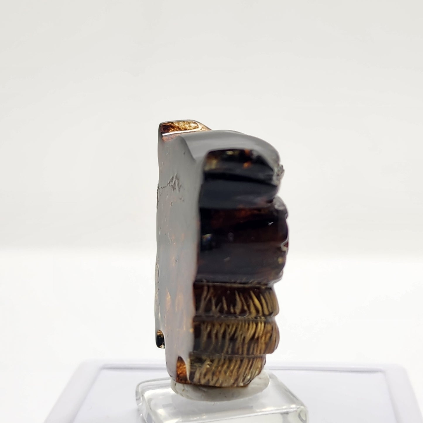 Amber Carved Owl #3
