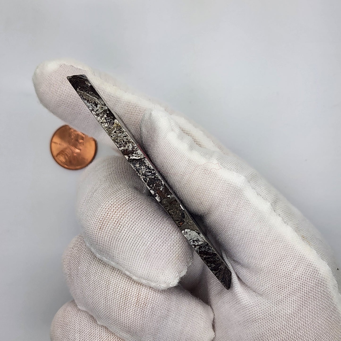 Aletai Meteorite Slice - ALT-04