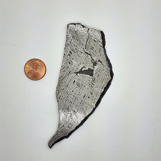 Aletai Meteorite Slice - ALT-05