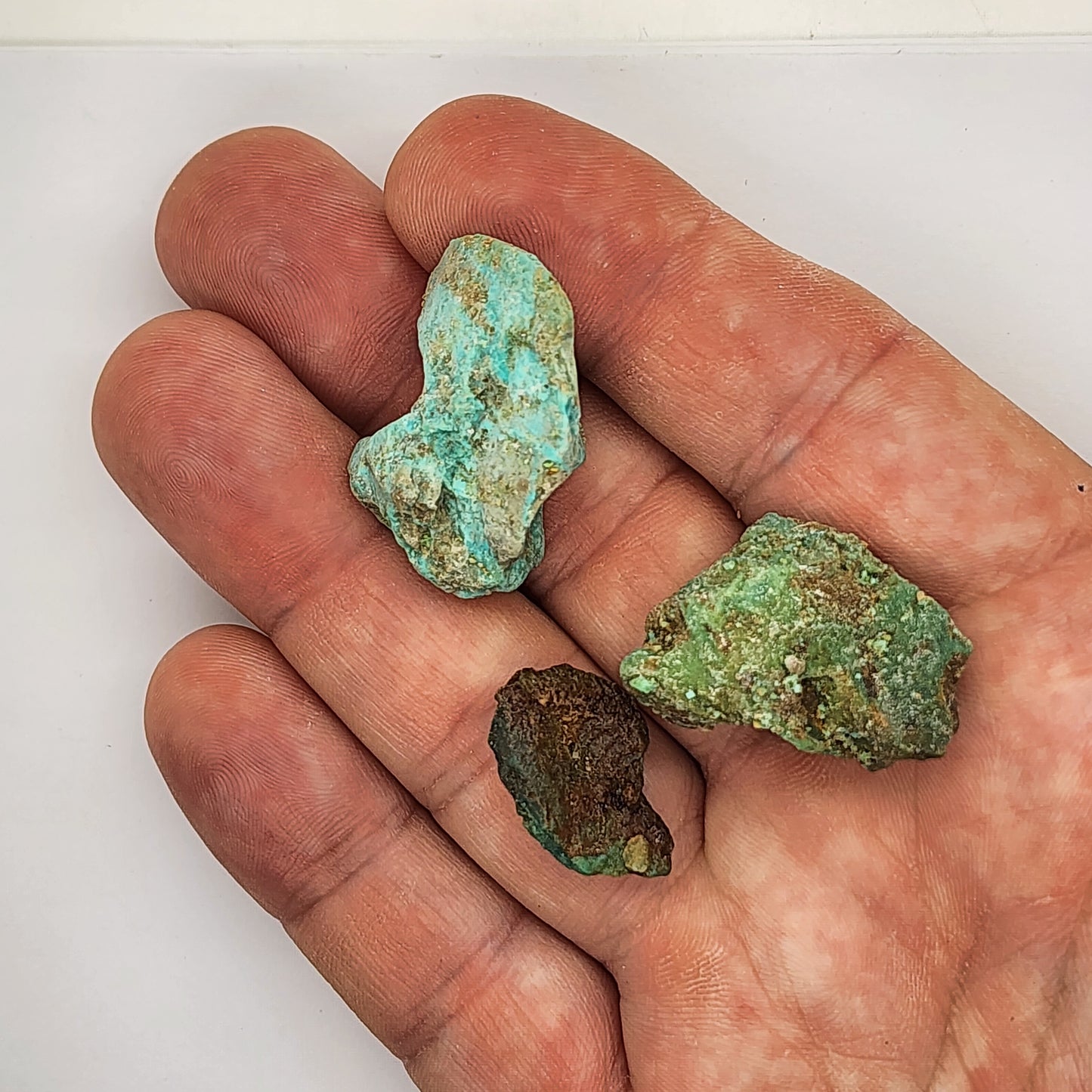 Sonoran Turquoise Rough - Stabilized Specimen - Lot #10