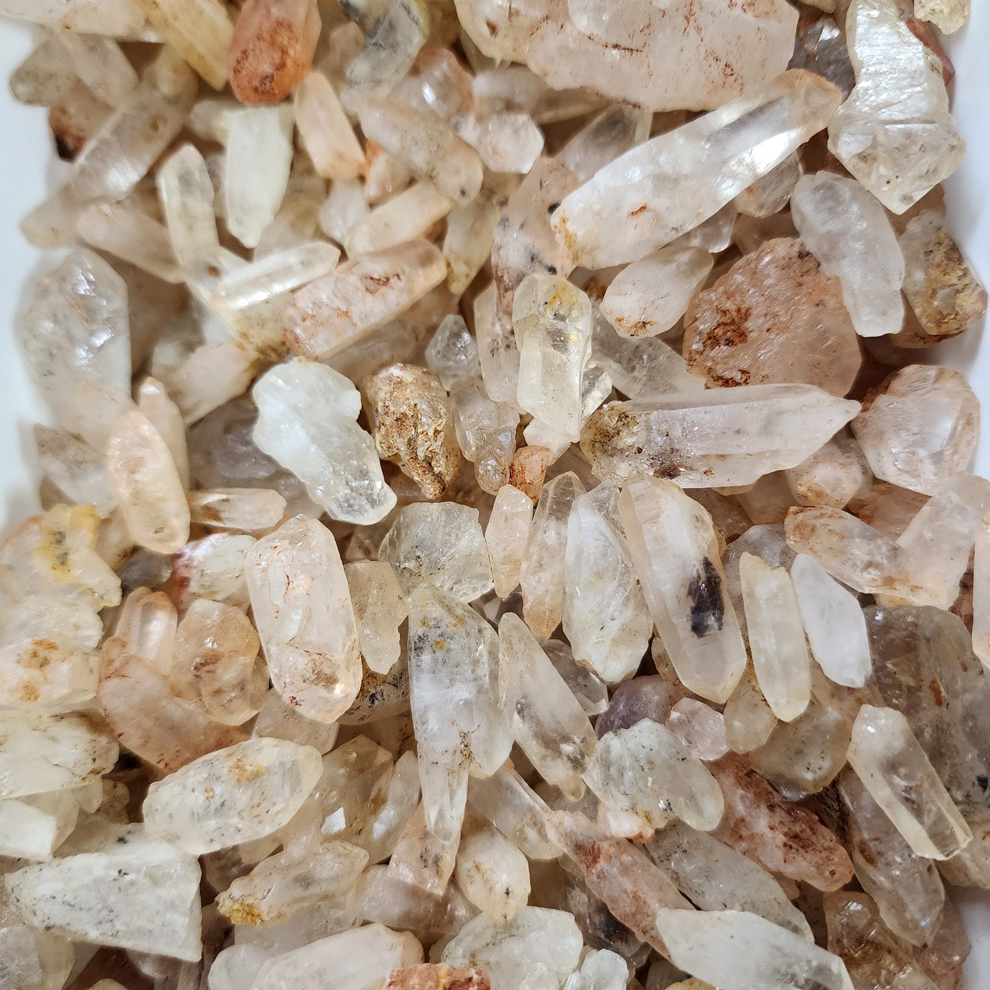 Petroleum Enhydro Clear Quartz Points - Mini to Small - 10 Piece Lot A