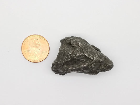 Sikhote-Alin meteorite specimen with sculpted iron surface