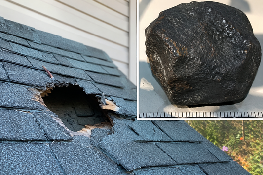 The Meteorite That Crashed Through a New Jersey Roof Just Rewrote What We Know About Asteroid Chemistry