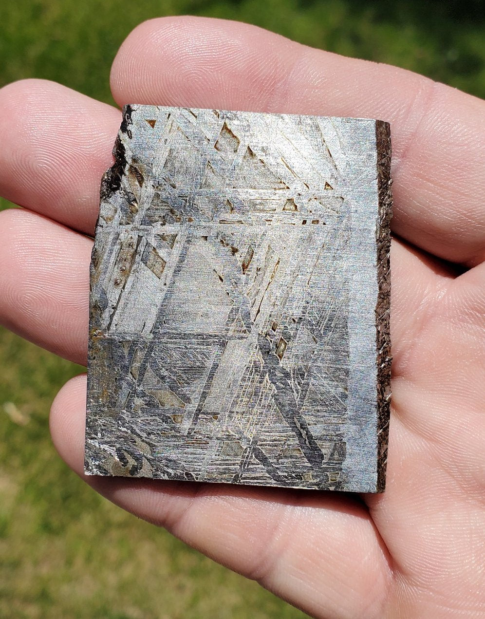 Meteorites