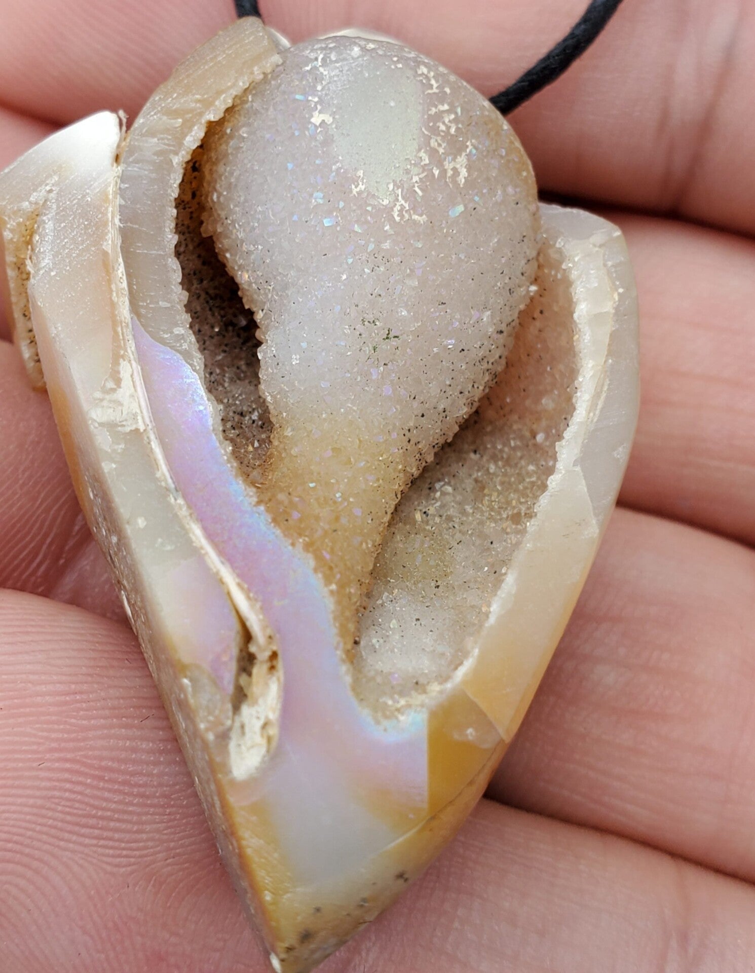 Fossils