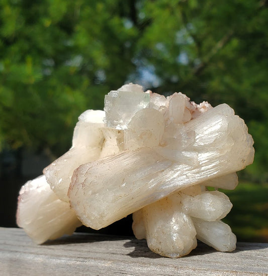 Superb Stilbite with Apophyllite Cluster – Ap19