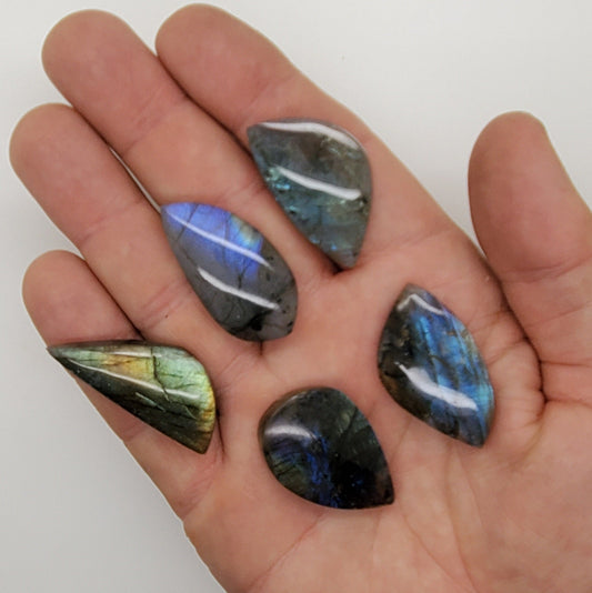 Labradorite Cabochons – Lot of 5 – Large Free Form Shapes