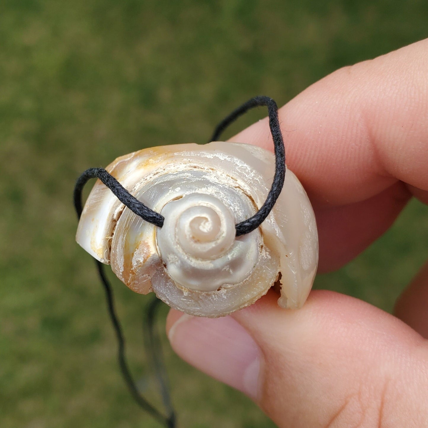 Spiralite Aura Fossil Pendant Large