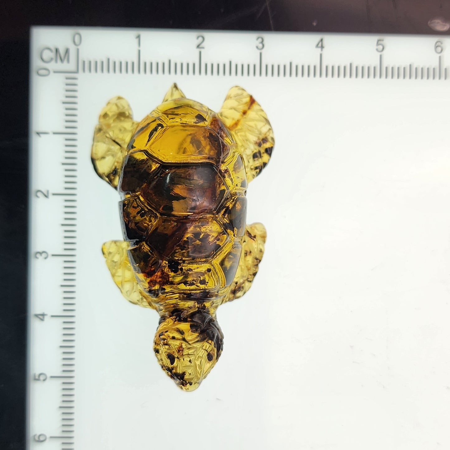 Carved Amber Sea Turtle