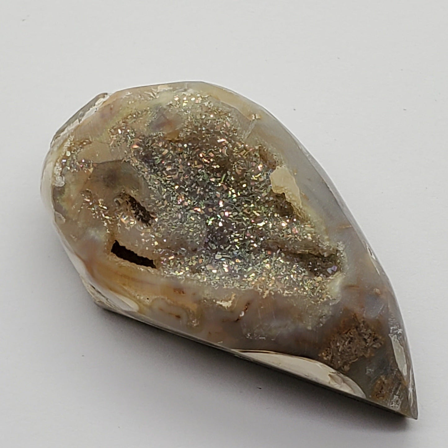 Gold Aura Spiralite Fossil
