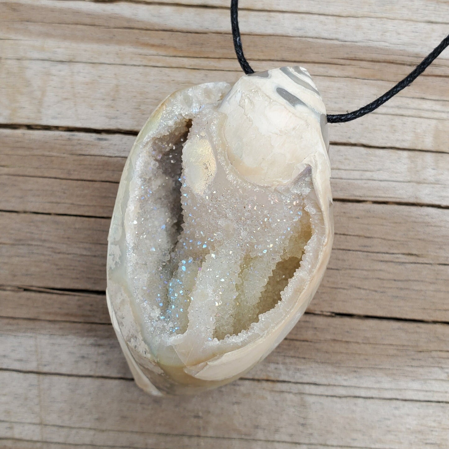 Spiralite Aura Fossil Pendant Large