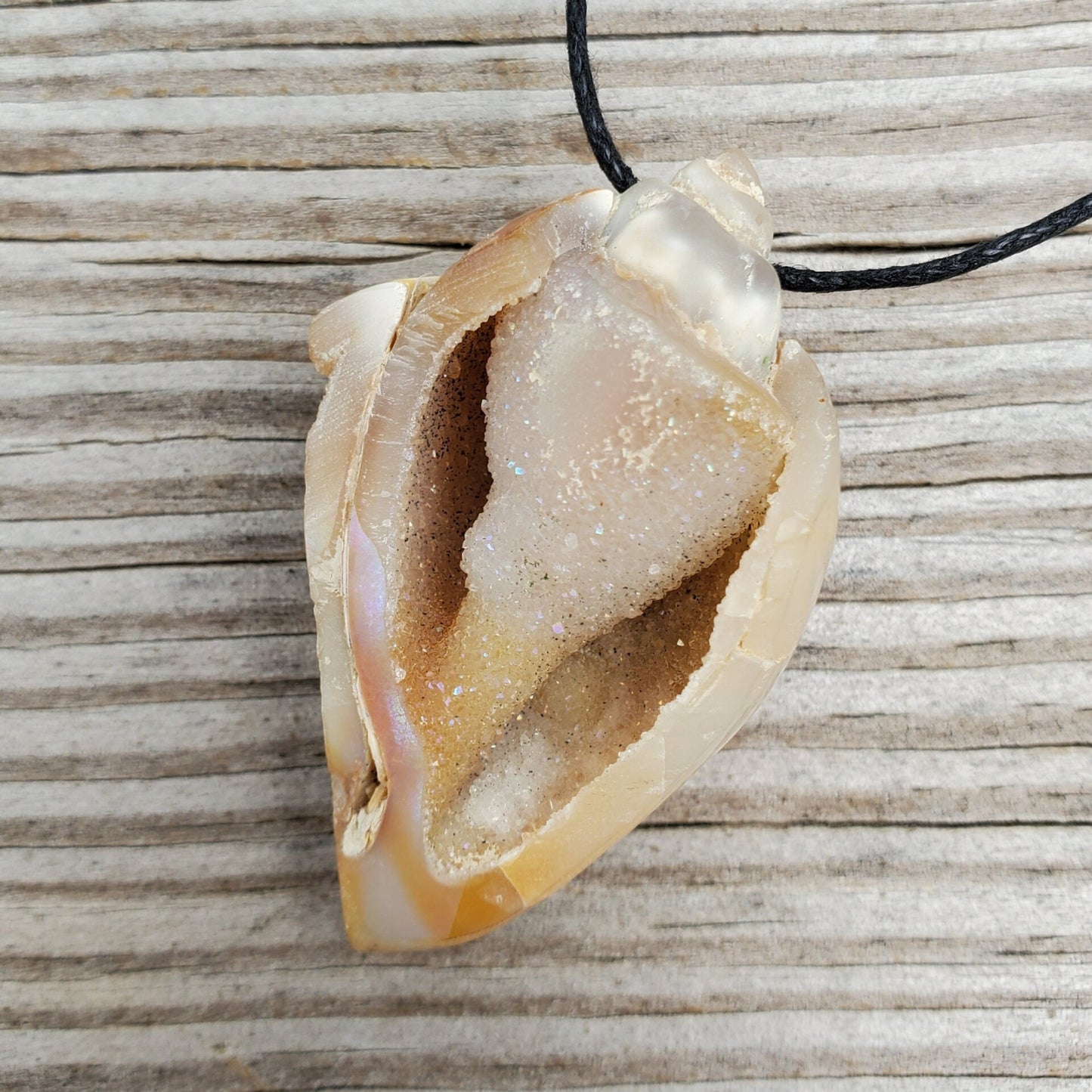 Spiralite Aura Fossil Pendant Large
