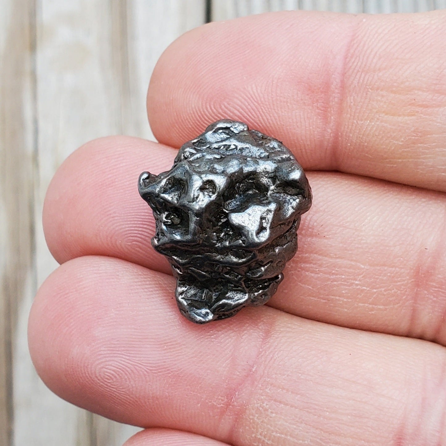 Meteorite Specimen – Campo Del Cielo – Q6