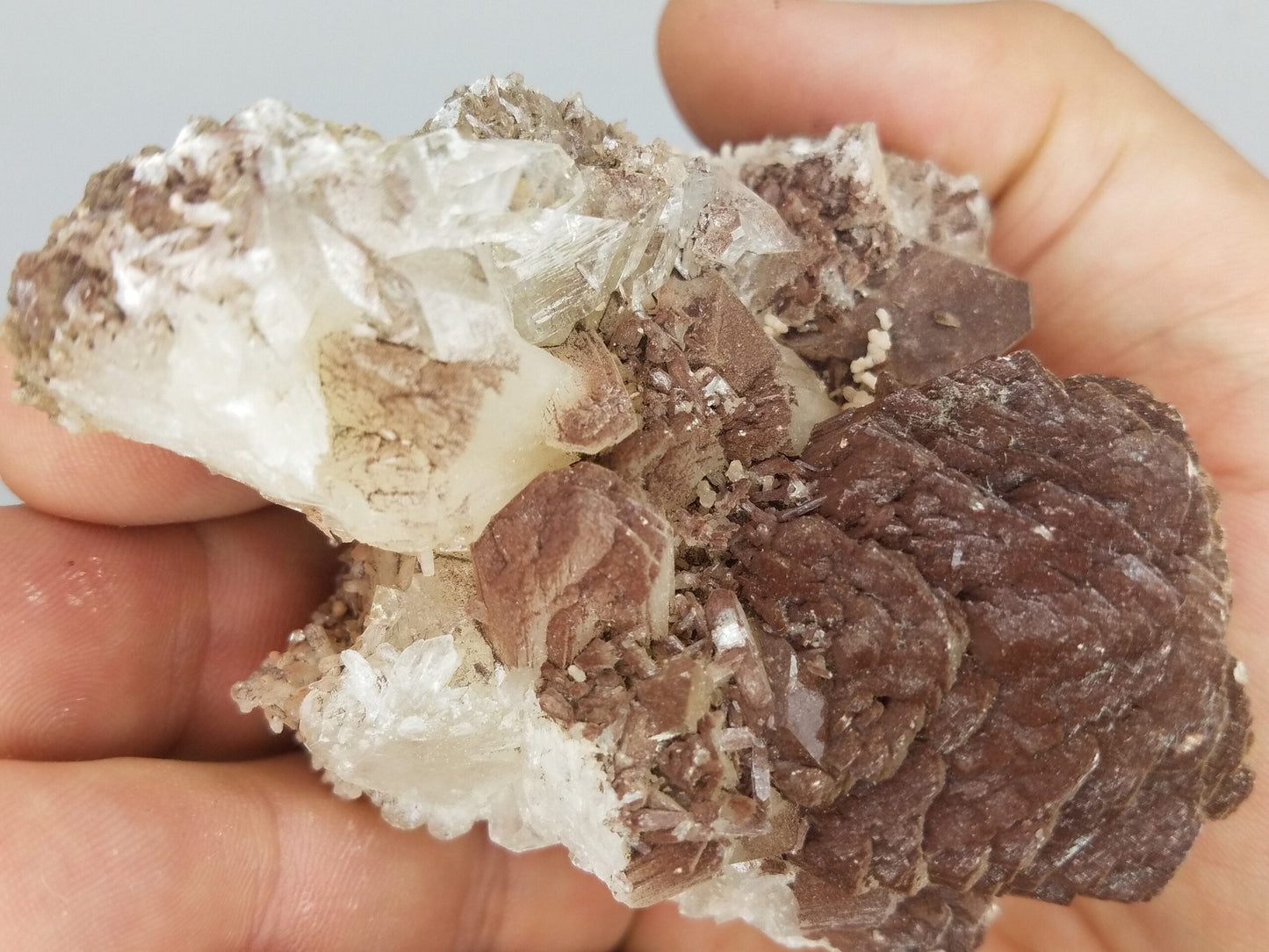 Select Apophyllite Stilbite Cluster – Ap14