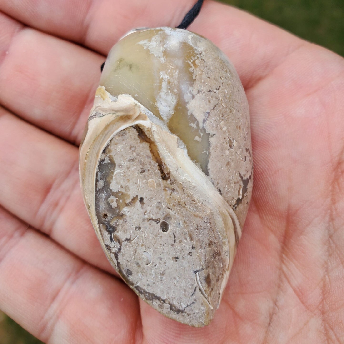 Spiralite Aura Fossil Pendant Large