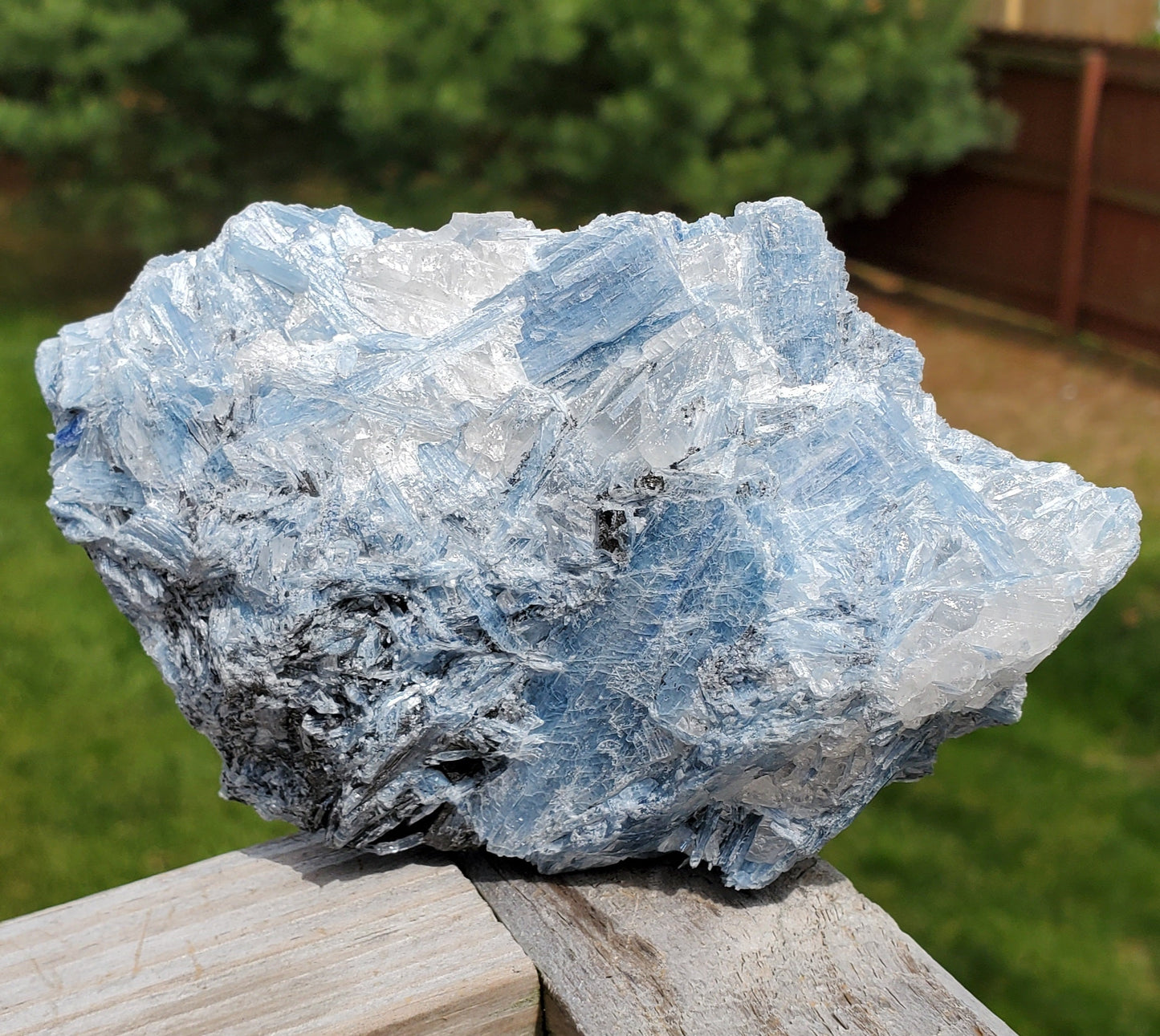 Aqua Blue Kyanite Cluster Aqky1