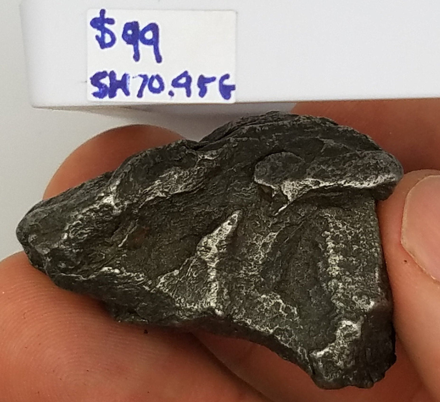 Protective Sikhote Meteorite Specimen – Sikhote-Alin – #Sh7095