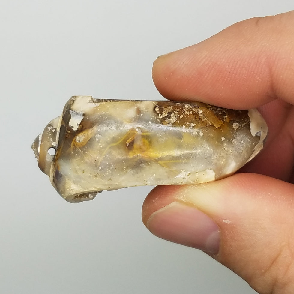 Medium Spiralite Aura Fossil