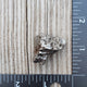 Meteorite Specimen – Campo Del Cielo – S4