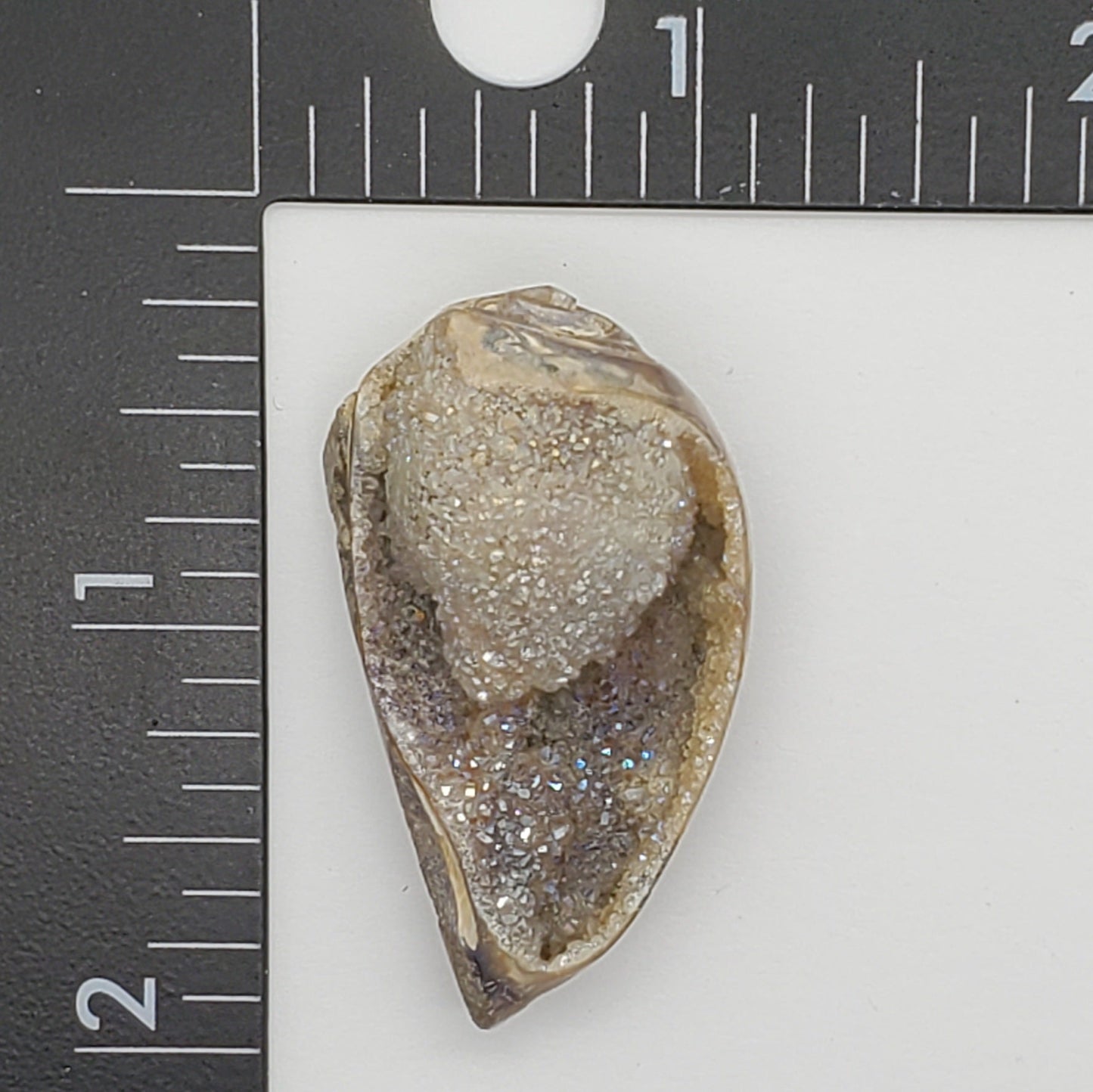 Spiralite Aura Druze Fossil