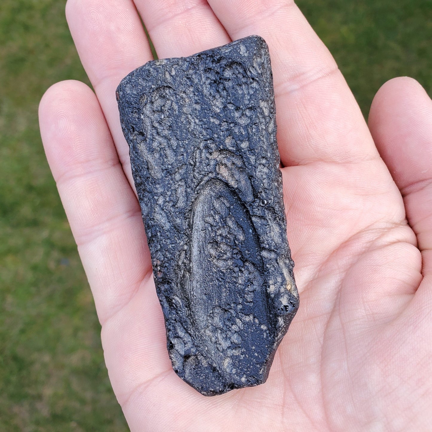 Large Black Thailand Tektite Specimen – Wstek6