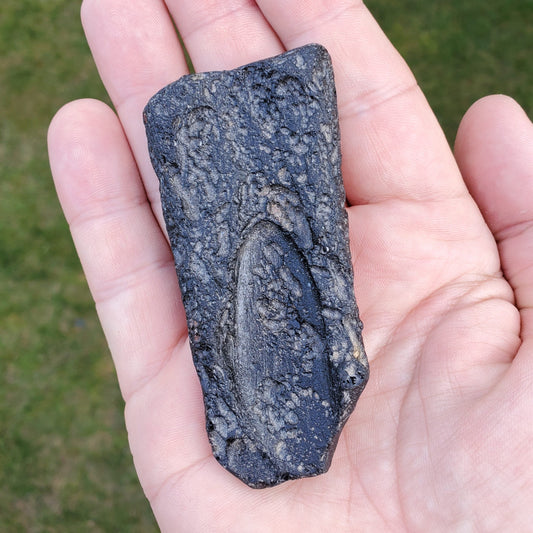 Large Black Thailand Tektite Specimen – Wstek6