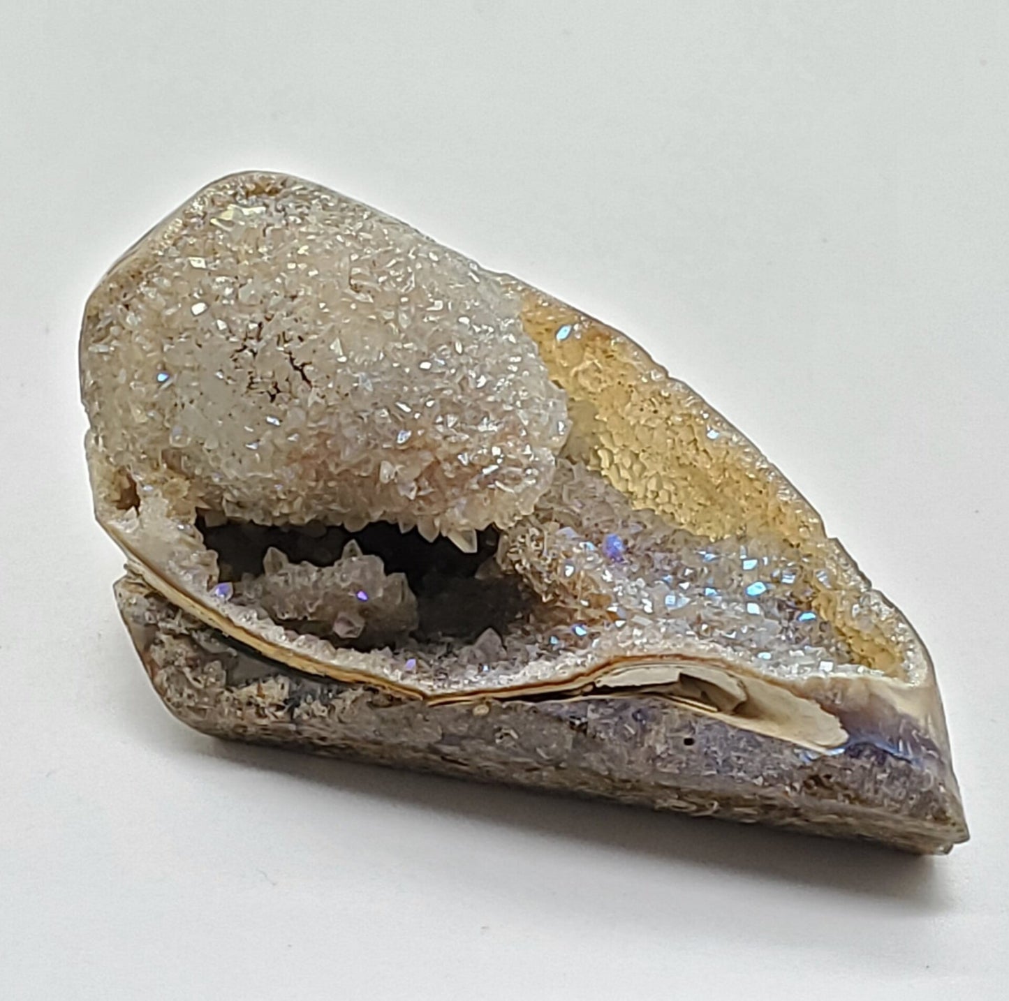 Spiralite Aura Druze Fossil