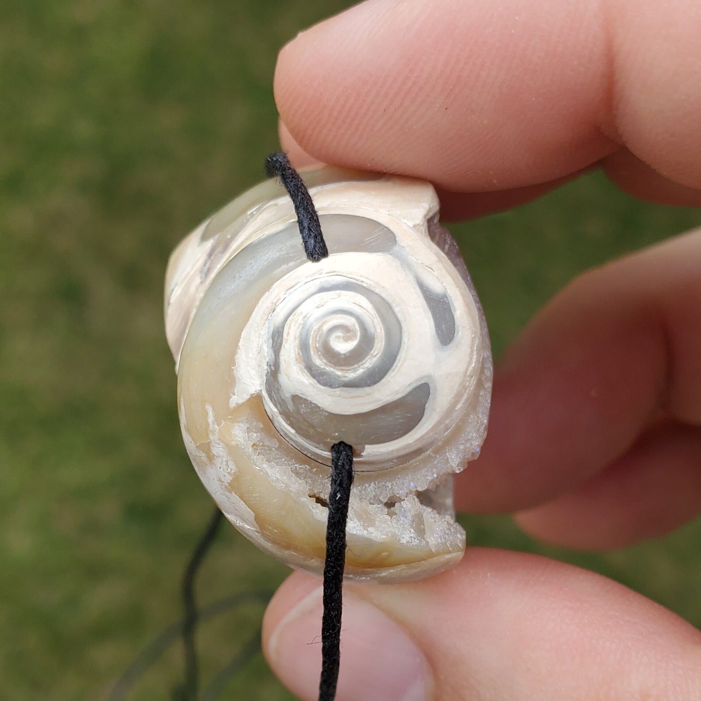 Spiralite Aura Fossil Pendant Large