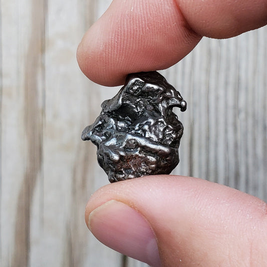Meteorite Specimen – Campo Del Cielo – Q6