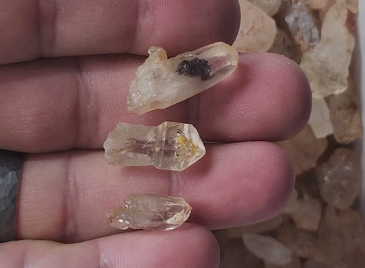 Petroleum Enhydro Clear Quartz Points - Mini to Small - 10 Piece Lot A