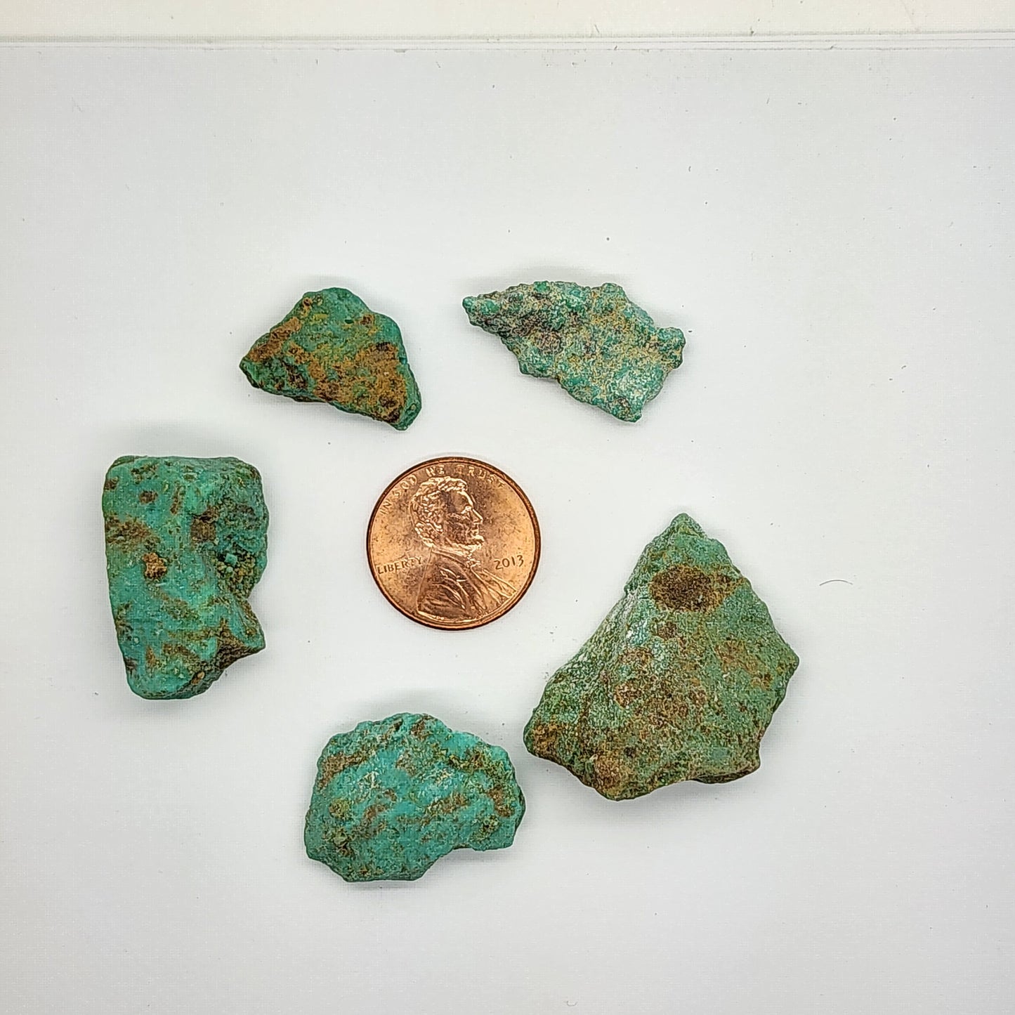 Sonoran Turquoise Rough - Stabilized Specimens - Lot #11