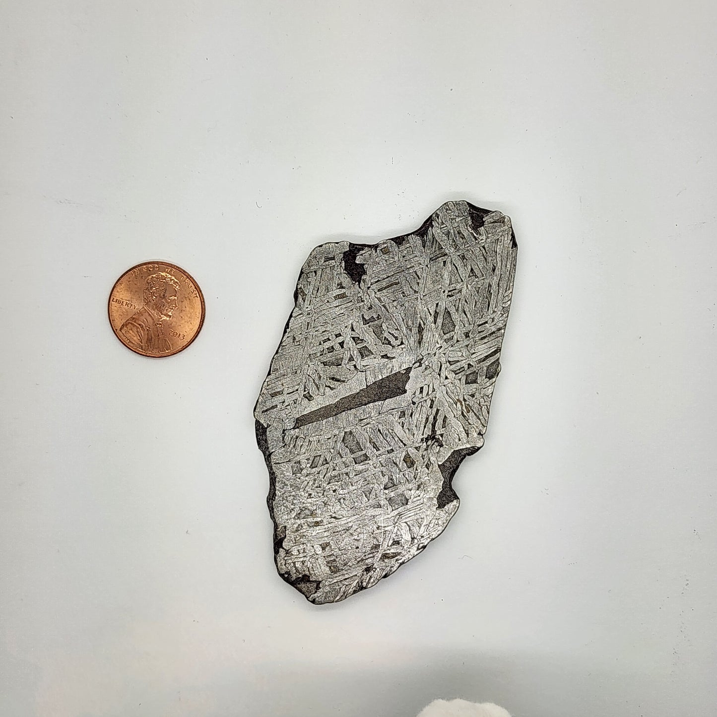Aletai Meteorite Slice - ALT-04