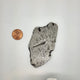 Aletai Meteorite Slice - ALT-04