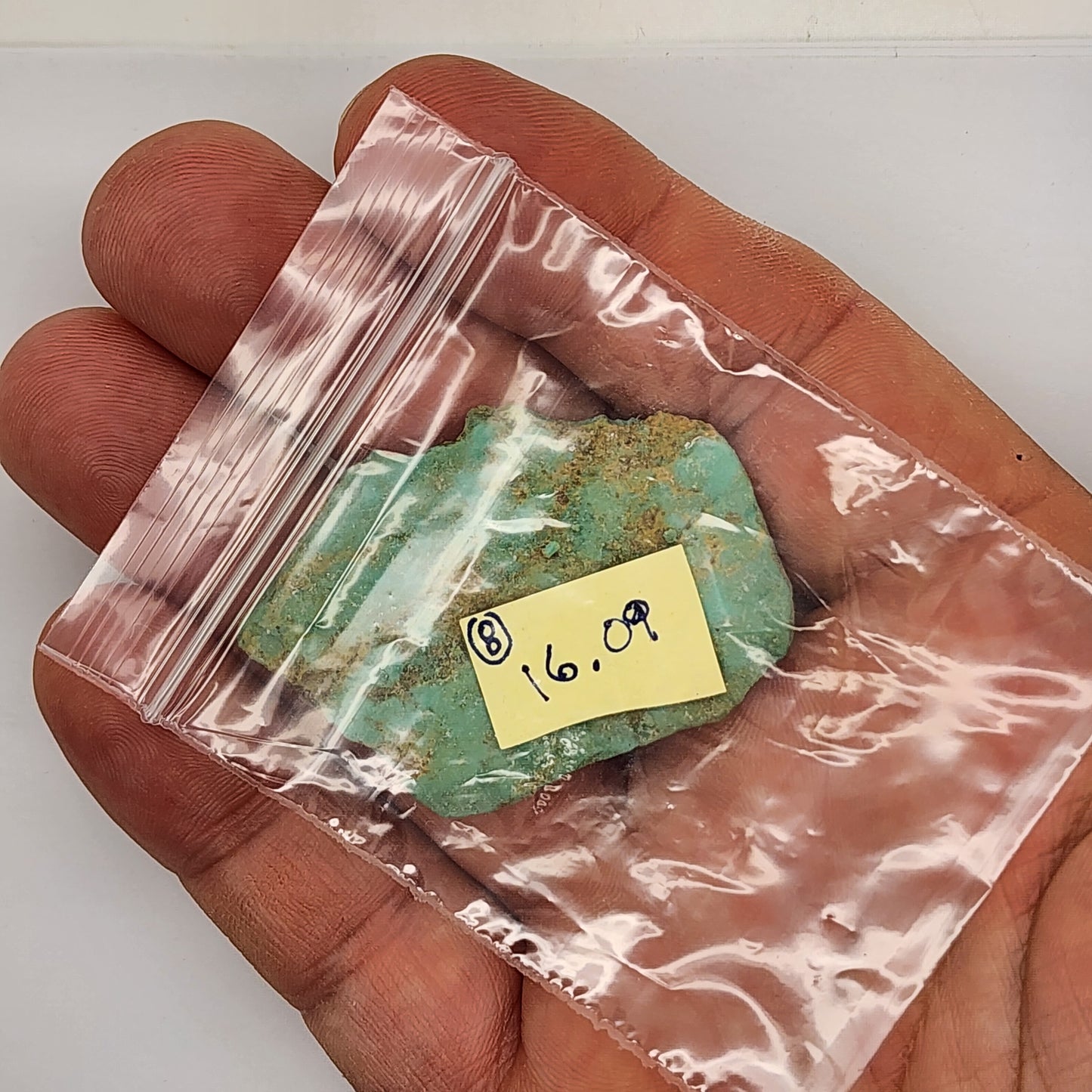 Sonoran Turquoise Rough - Stabilized Specimen - Lot #8