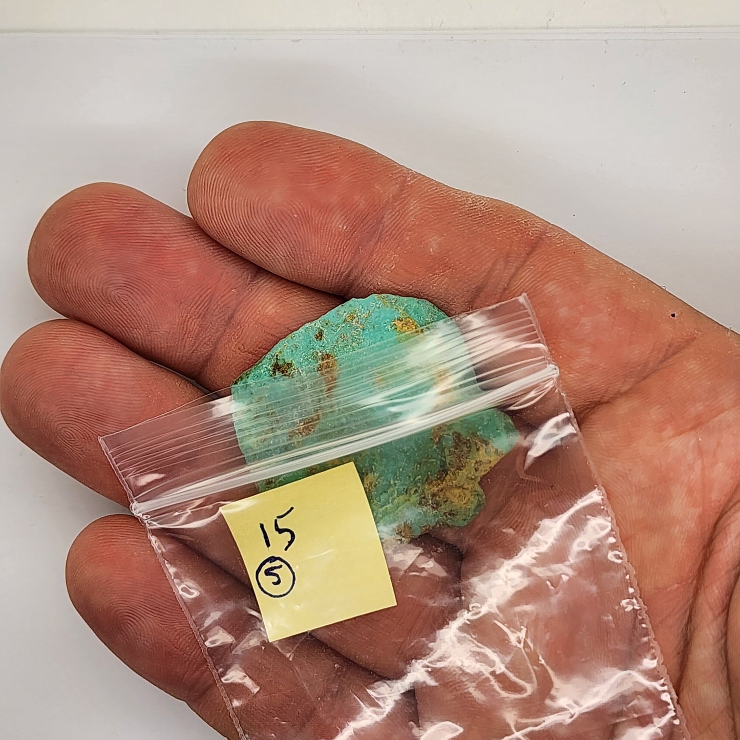 Sonoran Turquoise Rough - Stabilized Specimen - Lot #5