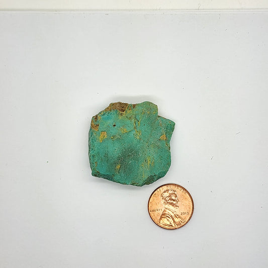 Sonoran Turquoise Rough - Stabilized Specimen - Lot #5