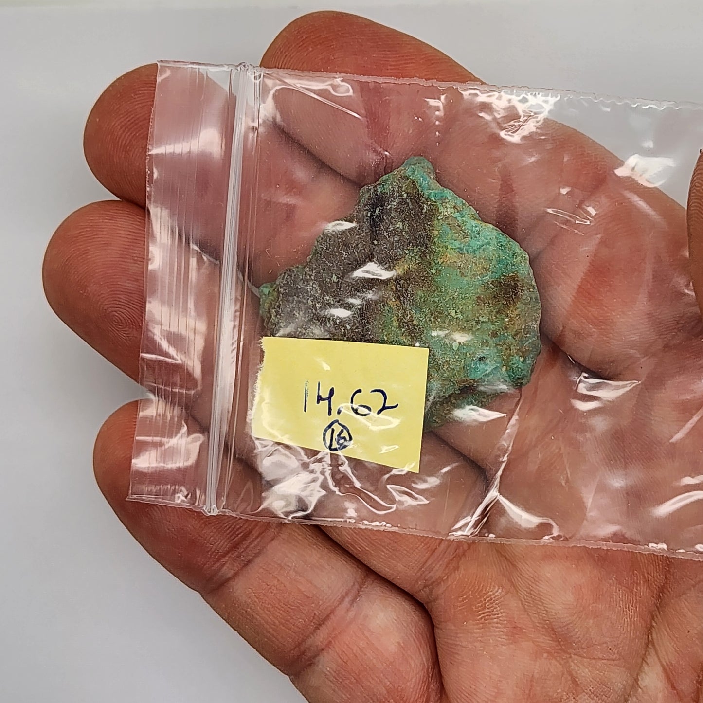 Sonoran Turquoise Rough - Stabilized Specimens - Lot #3