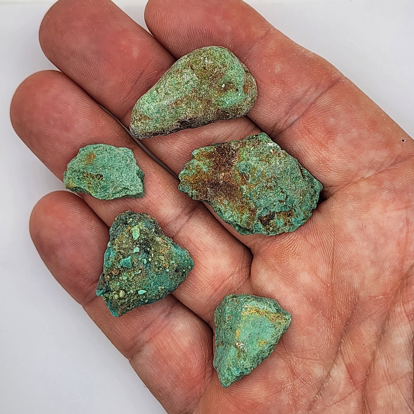 Sonoran Turquoise Rough - Stabilized Specimens - Lot #14