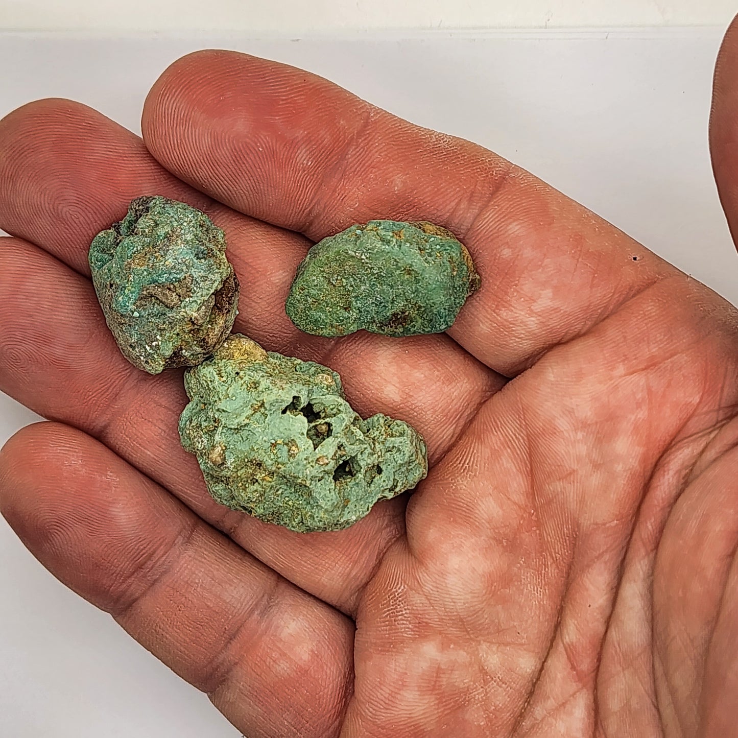Sonoran Turquoise Rough - Stabilized Specimens - Lot #2