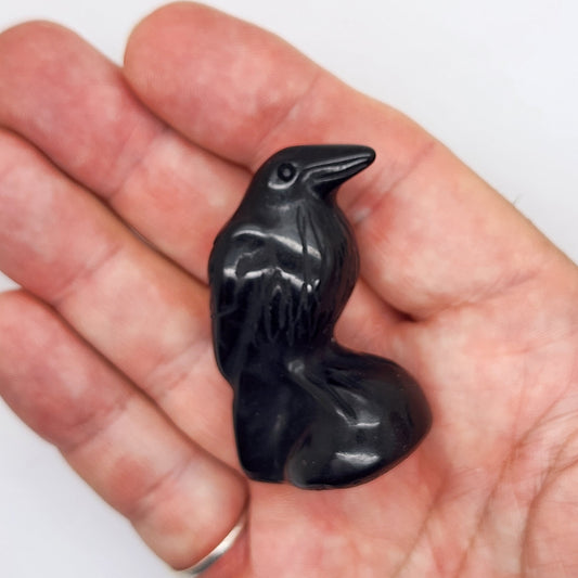 Black Obsidian Crow Raven Carving  1 piece