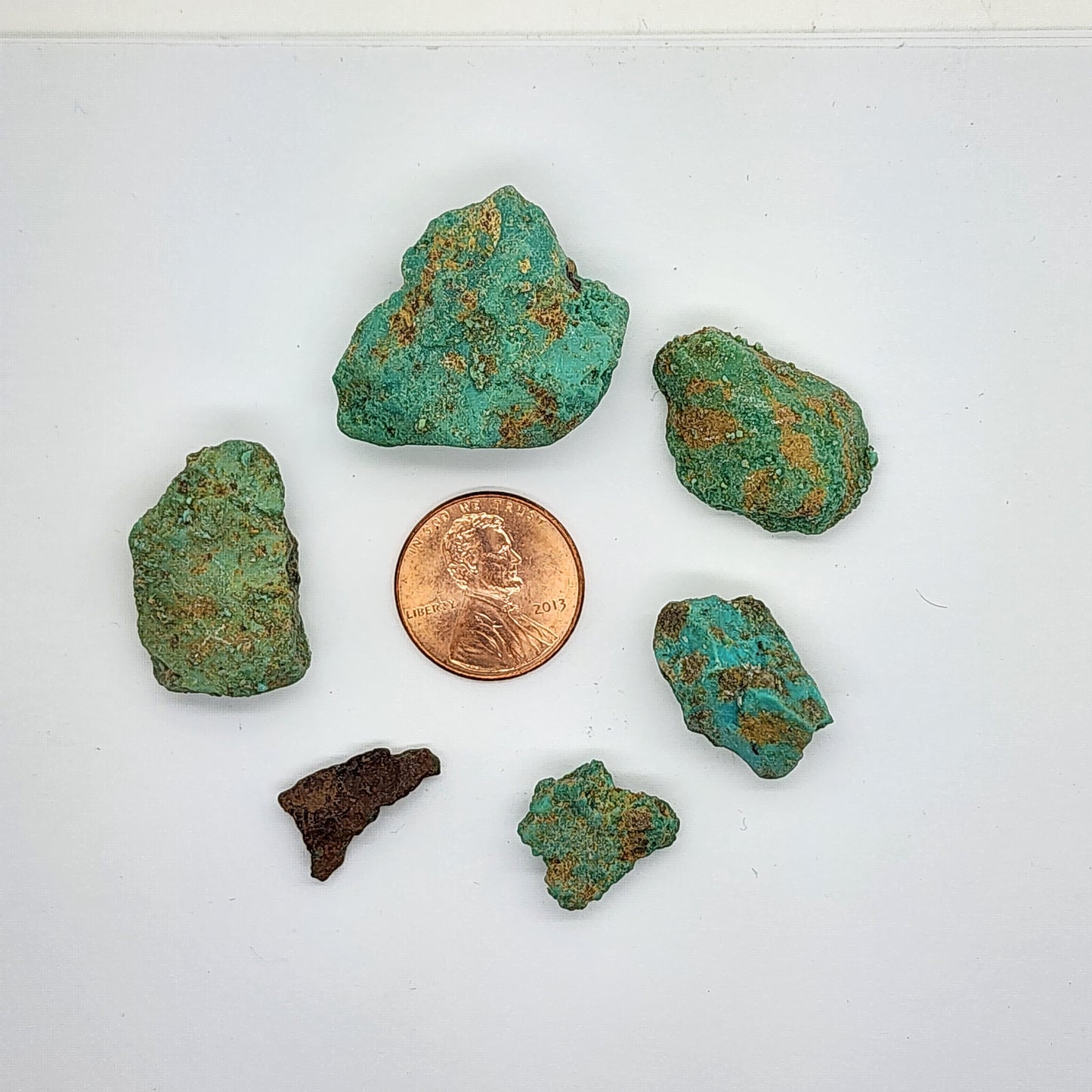 Sonoran Turquoise Rough - Stabilized Specimens - Lot #12