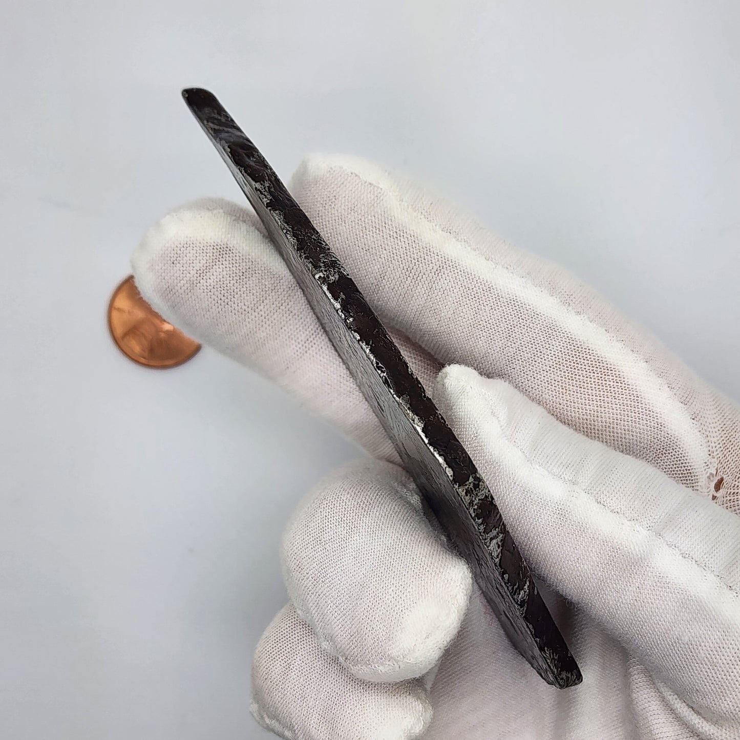 Aletai Meteorite Slice - ALT-03