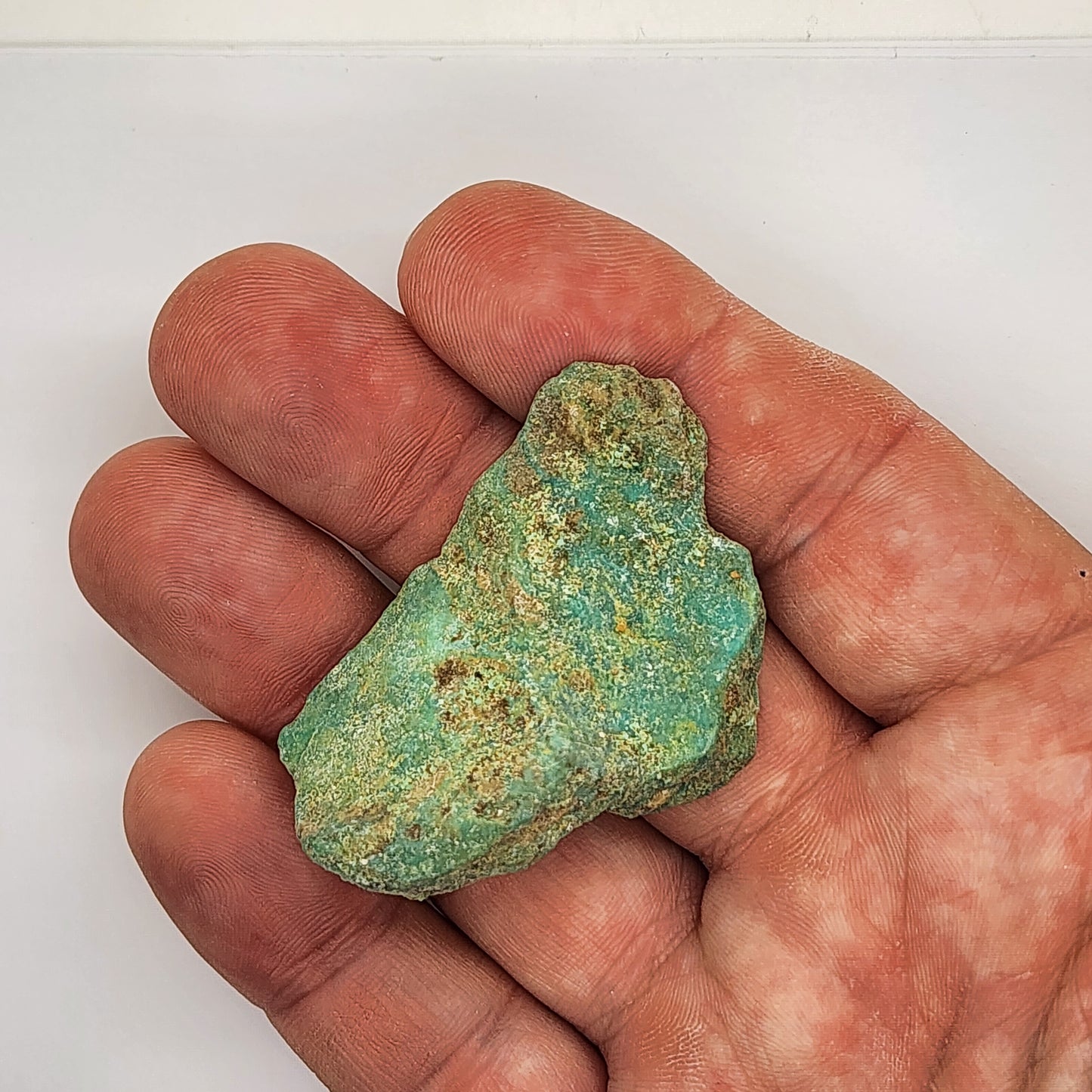 Sonoran Turquoise Rough - Stabilized Specimen - Lot #7