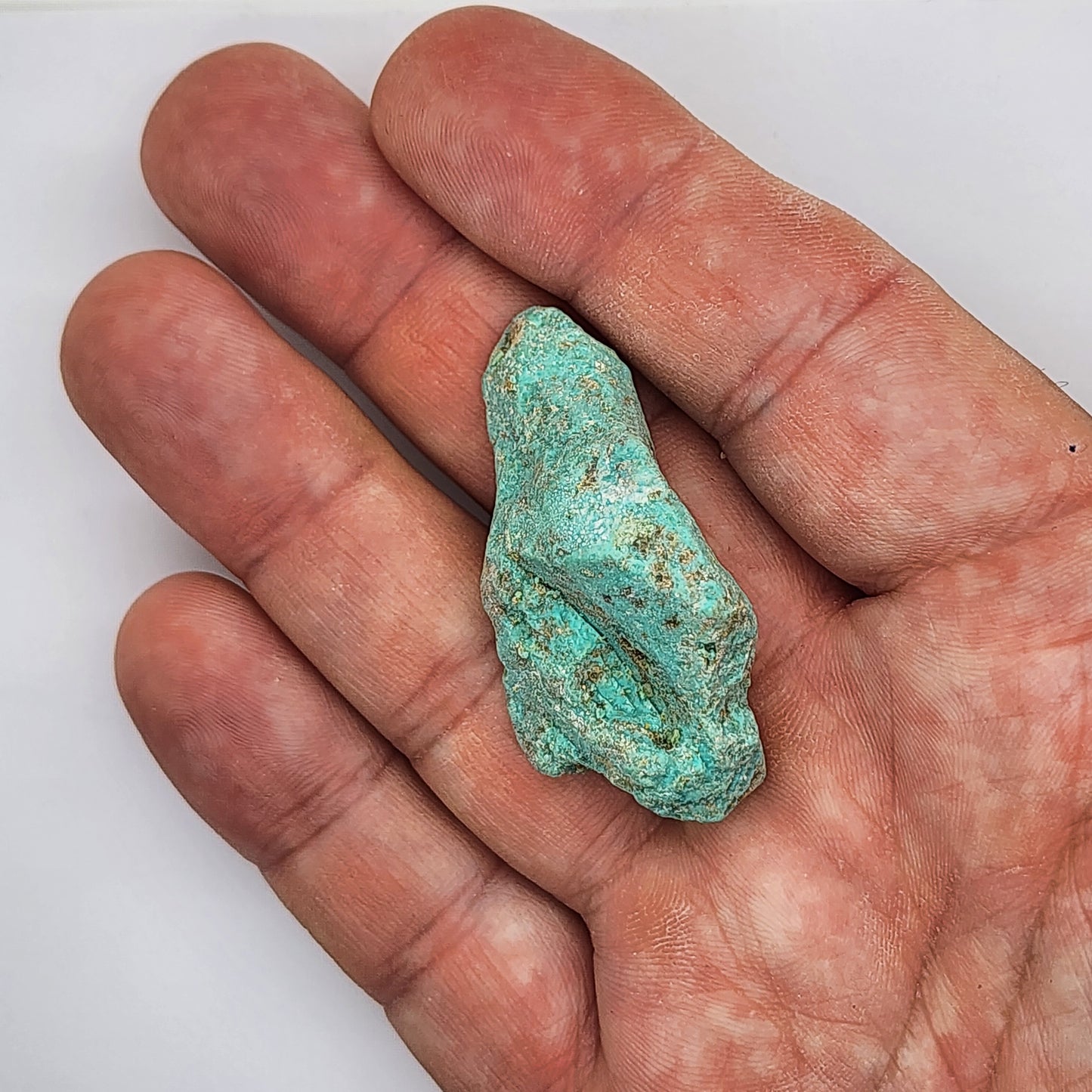 Sonoran Turquoise Rough - Stabilized Specimen - Lot #15