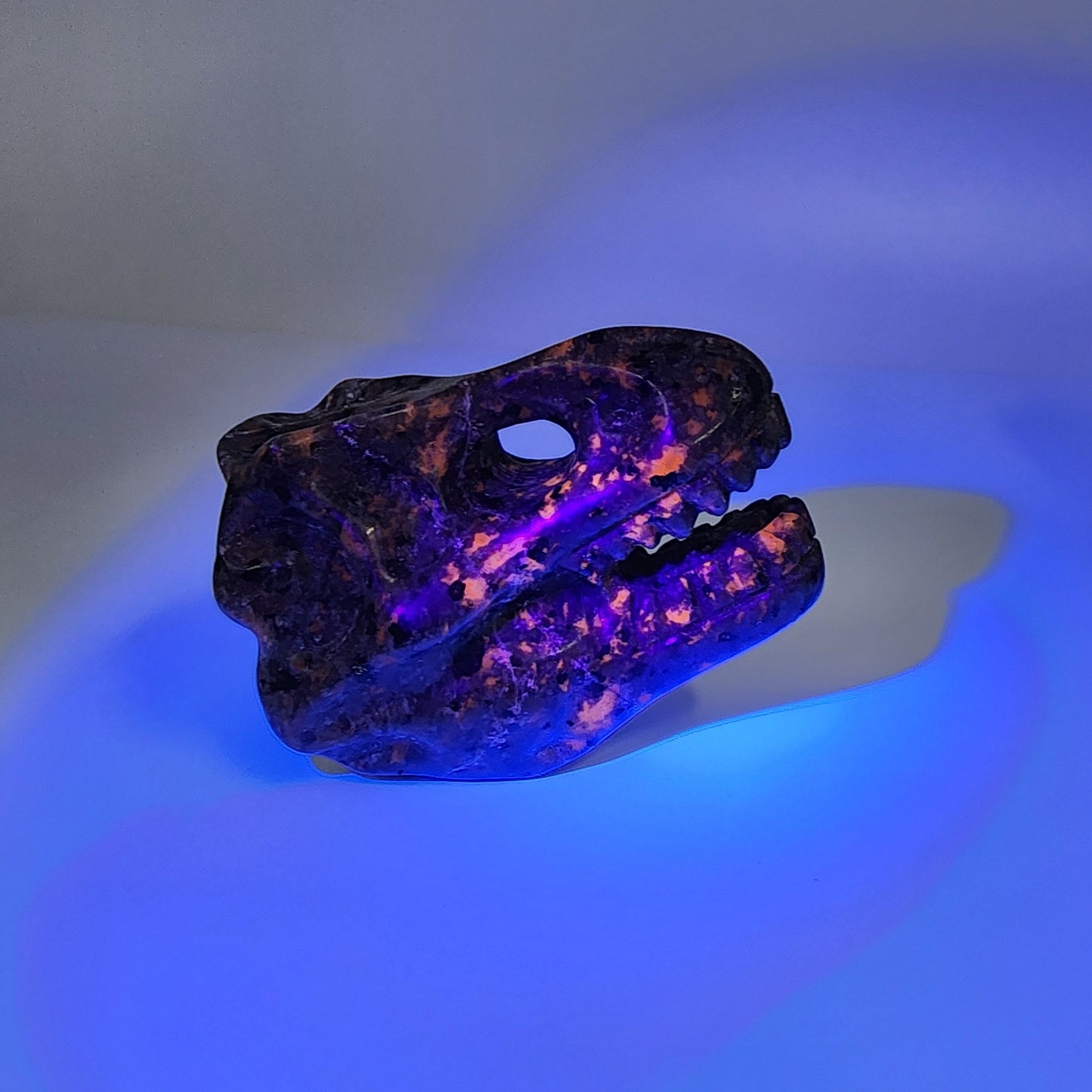 T-Rex Dinosaur Skull Carving in UV Fluorescent Sodalite Syenite