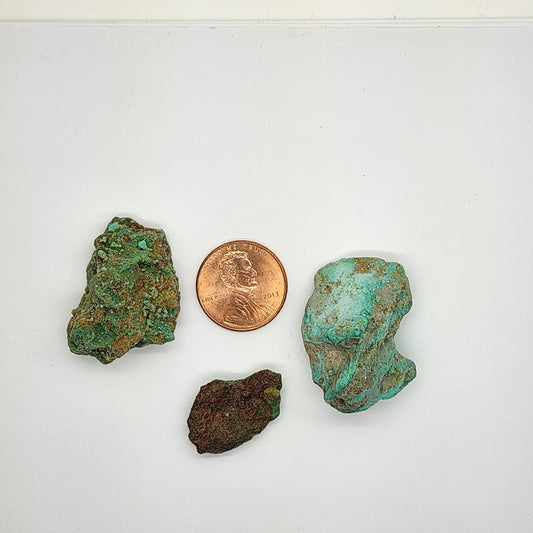 Sonoran Turquoise Rough - Stabilized Specimen - Lot #10