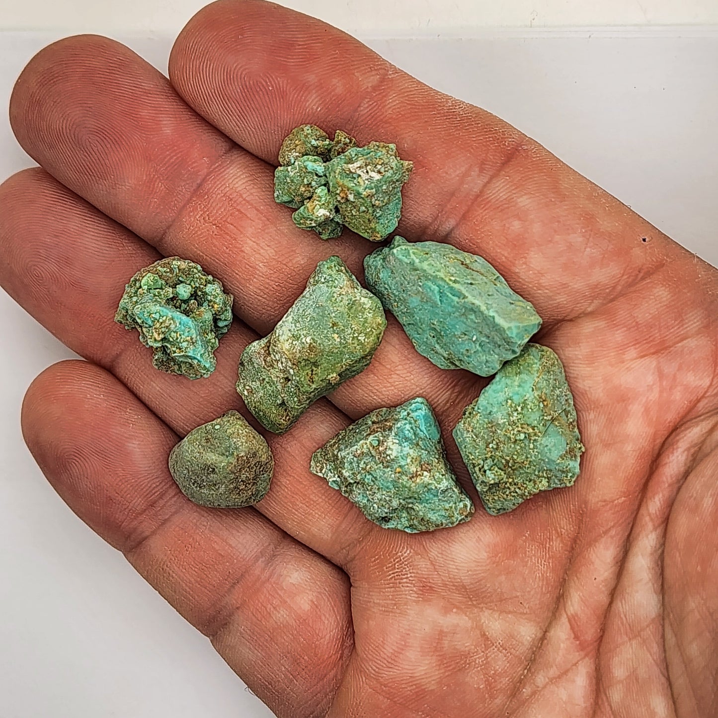 Sonoran Turquoise Rough - Stabilized Specimens - Lot #3