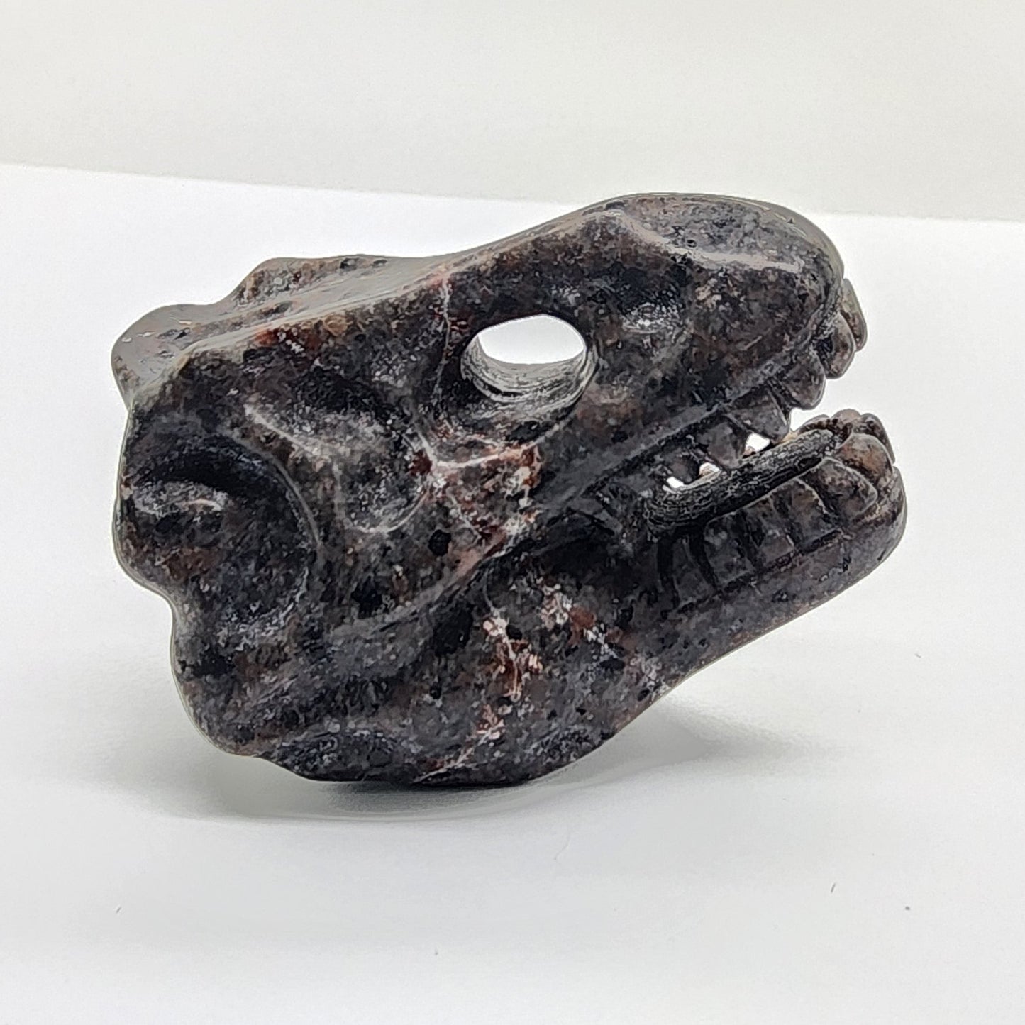 T-Rex Dinosaur Skull Carving in UV Fluorescent Sodalite Syenite
