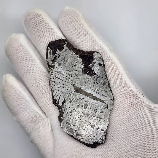 Aletai Meteorite Slice - ALT-04